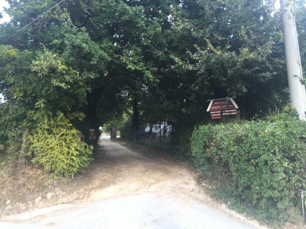 Montedago Farm stay Ancona